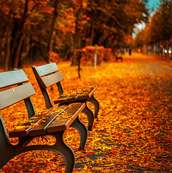 一手货源供应的DDOS测试