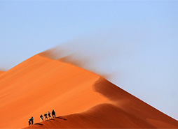 哪个商城靠谱的DDOS网页端源码