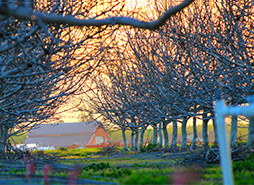 ddos压力测试平台